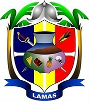 logo_mun_prov_lamas